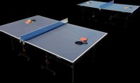 table tennis table