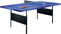 table tennis table